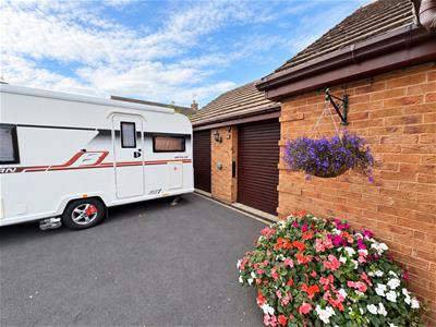 Picture 25